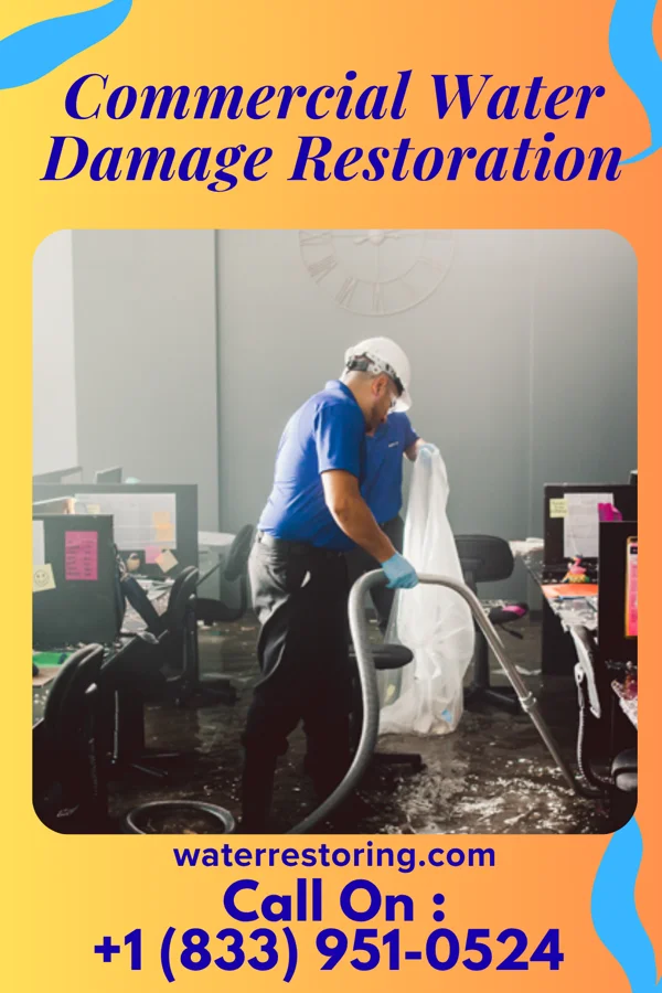 Commercial Water Damage Restoration in Johnson Lane, NV