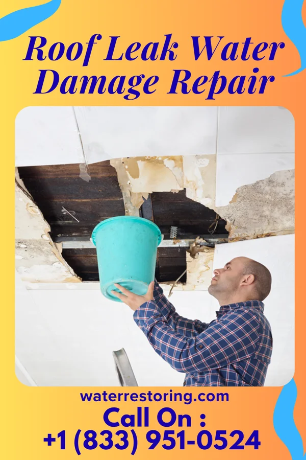 Roof Leak Water Damage Repair in Johnson Lane, NV