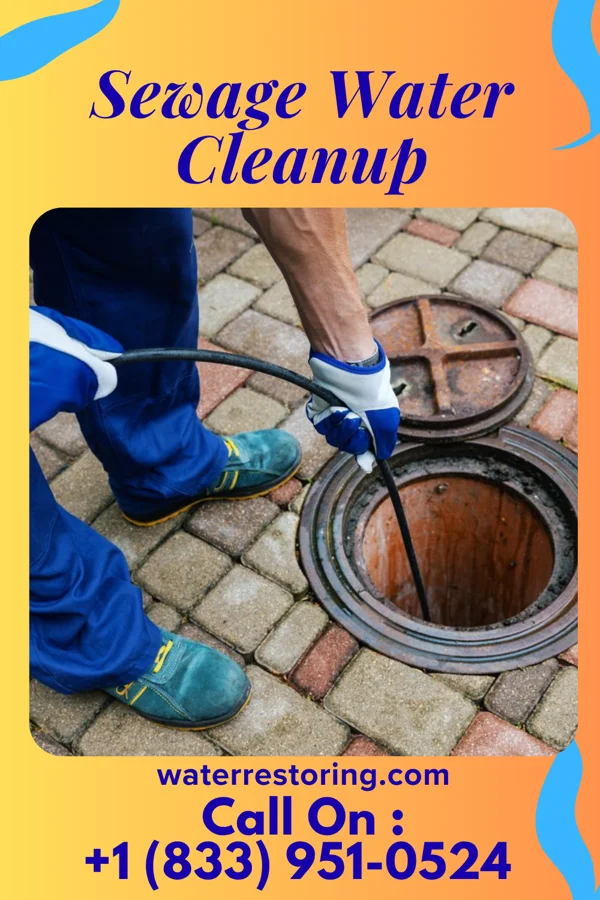 Sewage Water Cleanup in Johnson Lane, NV